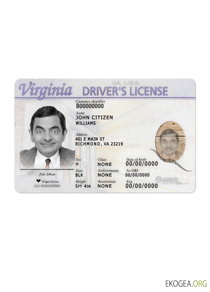 Virginia driving front